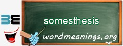 WordMeaning blackboard for somesthesis